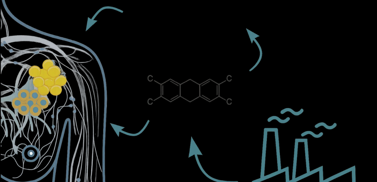 PCB – polluants persistants dans les bâtiments anciens